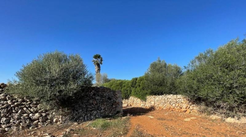 Balearic Islands - Son Bauló - 23701m2