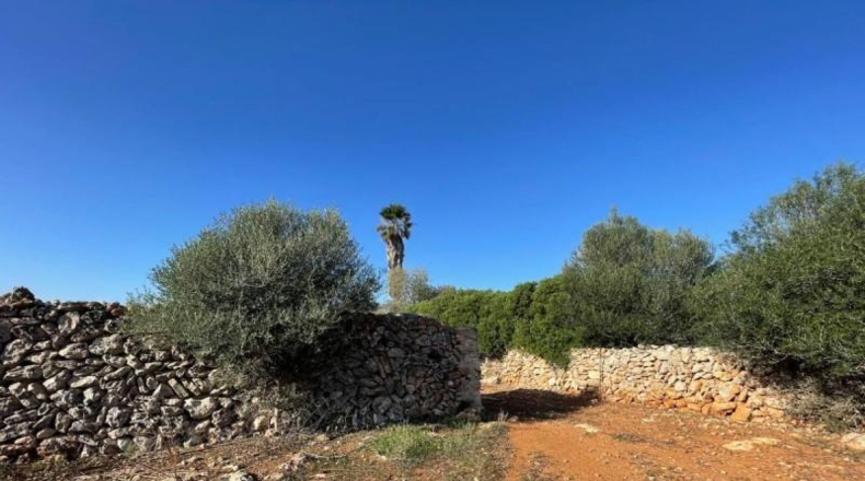 Balearic Islands - Son Bauló - 23701m2