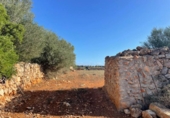 Land suitable for development for sale on España, Santa Margalida, ref: TR173492 photo