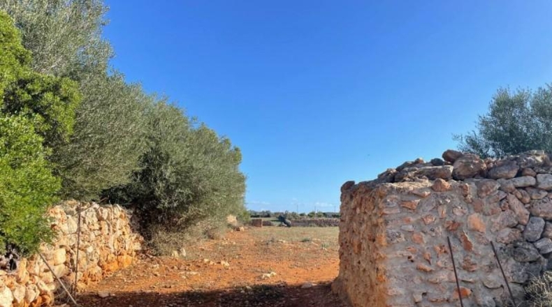 Balearic Islands - Son Bauló - 23701m2