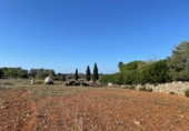 Land suitable for development for sale on España, Santa Margalida, ref: TR173492 photo