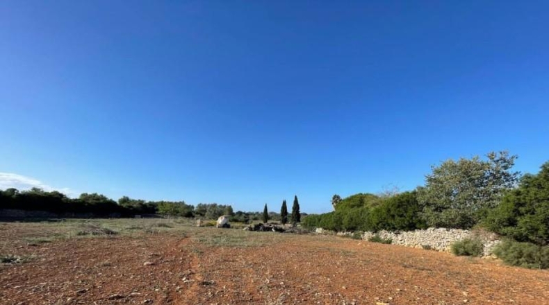 Balearic Islands - Son Bauló - 23701m2