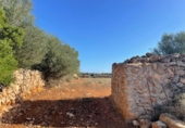 Land suitable for development for sale on España, Santa Margalida, ref: TR173492 photo