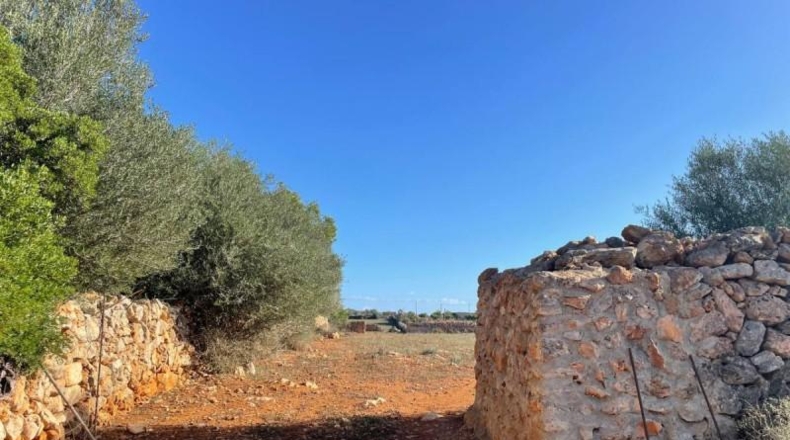 Balearic Islands - Son Bauló - 23701m2
