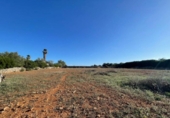 Land suitable for development for sale on España, Santa Margalida, ref: TR173492 photo