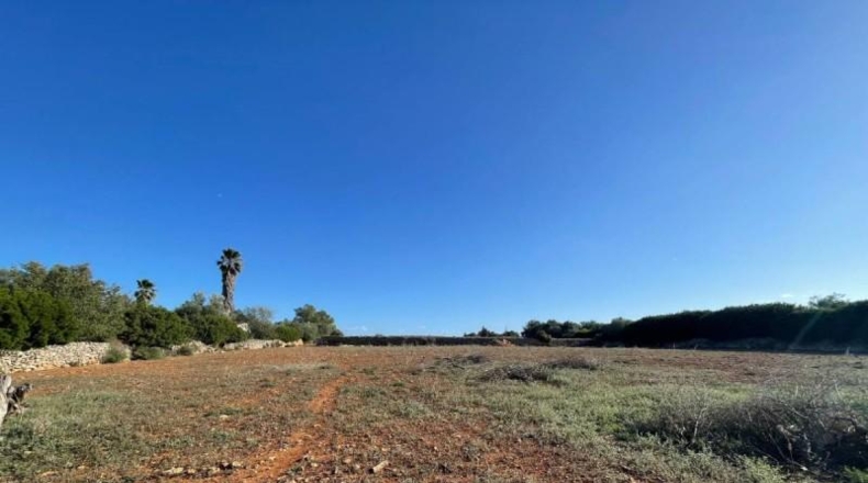 Balearic Islands - Son Bauló - 23701m2