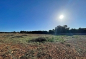 Land suitable for development for sale on España, Santa Margalida, ref: TR173492 photo