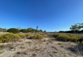 Land suitable for development for sale on España, Santa Margalida, ref: TR173492 photo