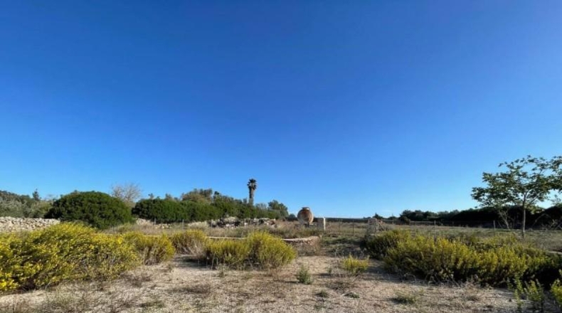 Balearic Islands - Son Bauló - 23701m2