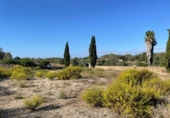 Land suitable for development for sale on España, Santa Margalida, ref: TR173492 photo
