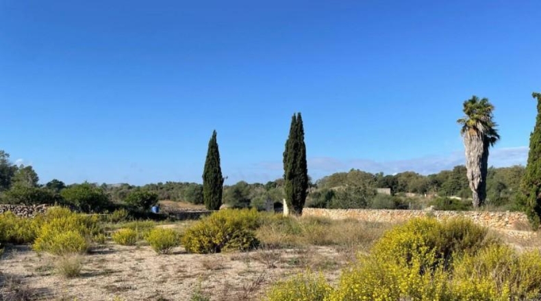 Balearic Islands - Son Bauló - 23701m2