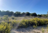 Land suitable for development for sale on España, Santa Margalida, ref: TR173492 photo