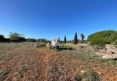 Land suitable for development for sale on España, Santa Margalida, ref: TR173492 photo