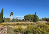 Land suitable for development for sale on España, Santa Margalida, ref: TR173492 photo