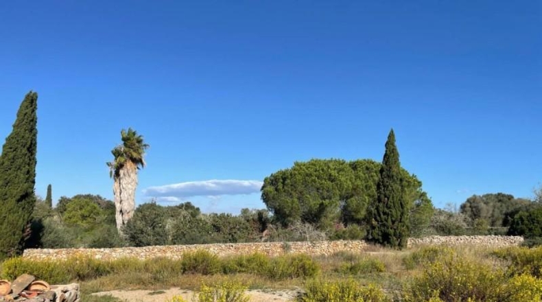 Balearic Islands - Son Bauló - 23701m2