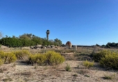 Land suitable for development for sale on España, Santa Margalida, ref: TR173492 photo