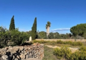 Land suitable for development for sale on España, Santa Margalida, ref: TR173492 photo
