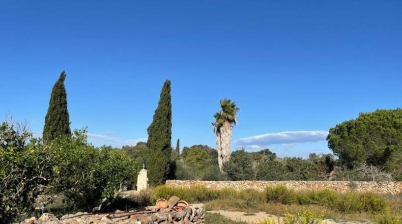 Balearic Islands - Son Bauló - 23701m2