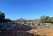 Land suitable for development for sale on España, Santa Margalida, ref: TR173492 photo