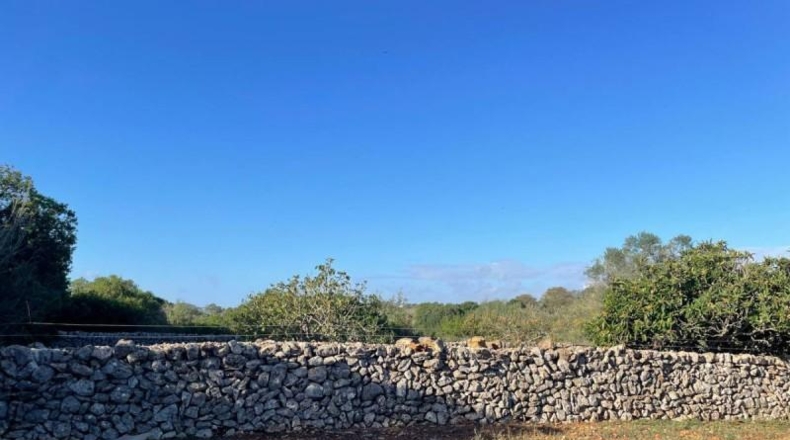 Balearic Islands - Son Bauló - 23701m2