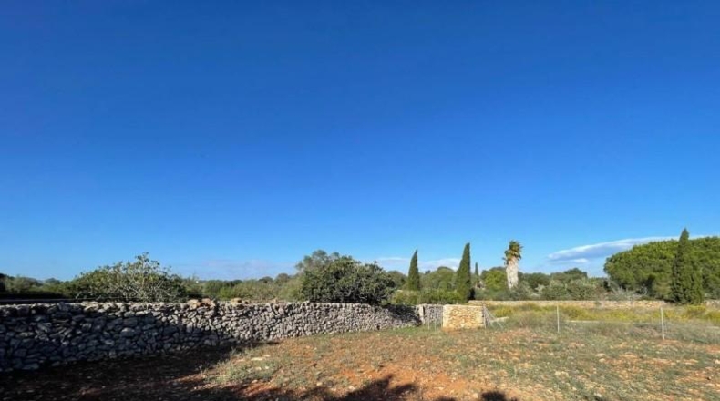 Balearic Islands - Son Bauló - 23701m2