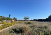 Land suitable for development for sale on España, Santa Margalida, ref: TR173492 photo