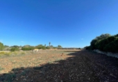 Land suitable for development for sale on España, Santa Margalida, ref: TR173492 photo