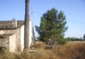 Casa de camp amb terreny en venda a la España, Elx, ref.: TR141262 foto