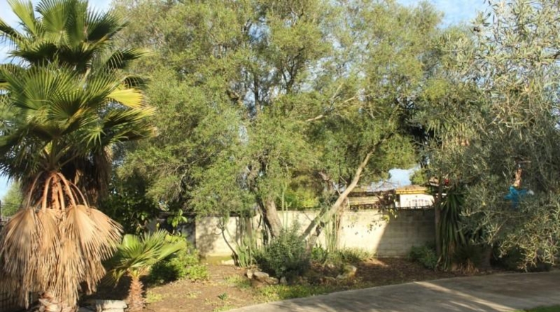 Córdoba - Almodóvar del Río - 3233m2