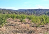 Finca rústica en venta en la España, Castilblanco de los Arroyos, ref: TR295939 foto