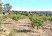 Finca rústica en venta en la España, Castilblanco de los Arroyos, ref: TR295939 foto