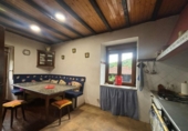 Casa de camp amb terreny en venda a la España, Tineo, ref.: TR248620 foto