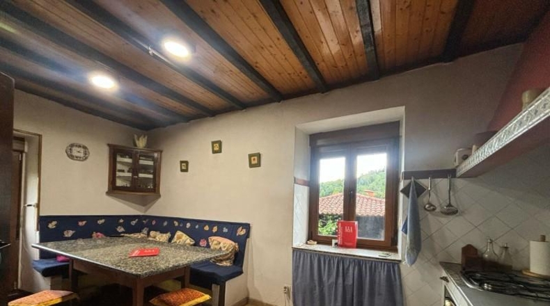 Asturias - Tineo - 2300m2