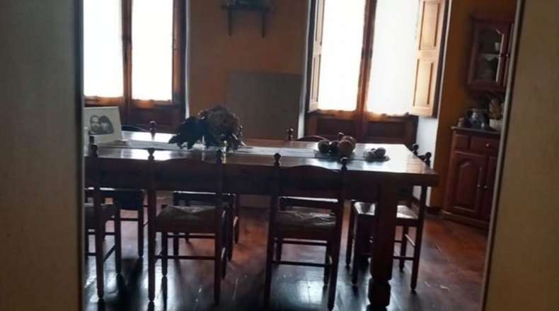 Asturias - Tineo - 2300m2
