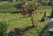Casa de camp amb terreny en venda a la España, Tineo, ref.: TR248620 foto
