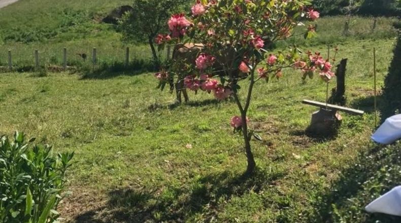 Asturias - Tineo - 2300m2