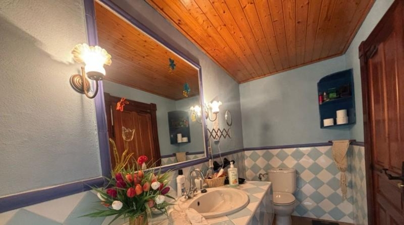 Asturias - Tineo - 2300m2
