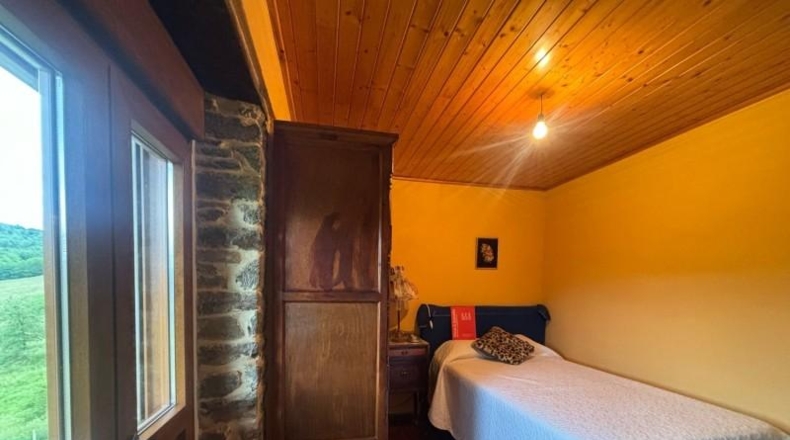 Asturias - Tineo - 2300m2
