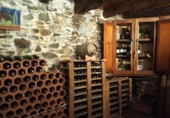 Casa de camp amb terreny en venda a la España, Tineo, ref.: TR248620 foto