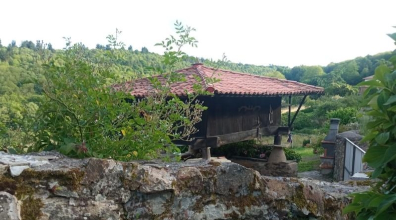 Asturias - Tineo - 2300m2