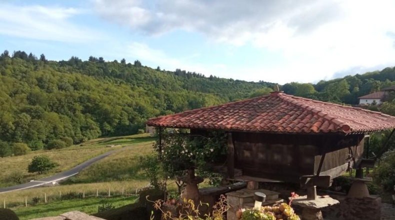 Asturias - Tineo - 2300m2