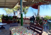 Casa de camp amb terreny en venda a la España, Iznate, ref.: TR281915 foto