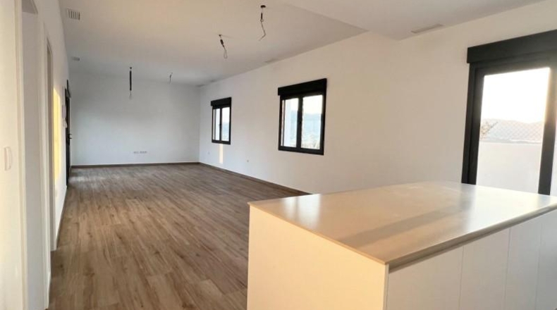 Alicante - Аспе - 430m2