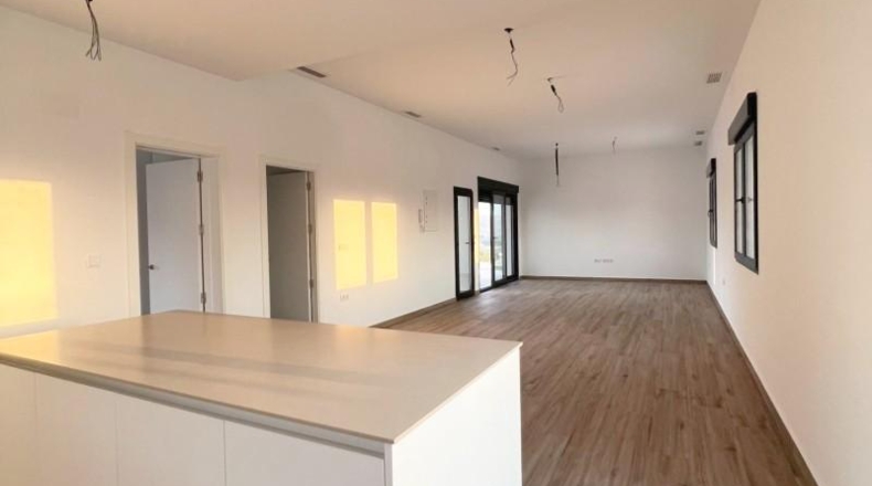 Alicante - Аспе - 430m2