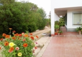 Country house with land for sale on España, Beas, ref: TR356614 photo