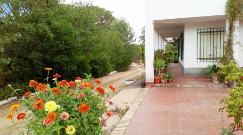 Huelva - Beas - 10000m2