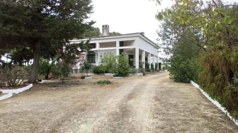 Huelva - Beas - 10000m2