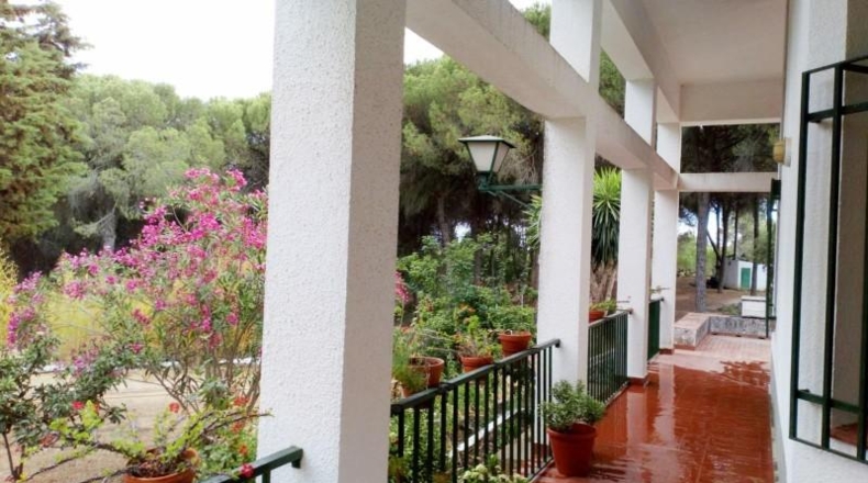 Huelva - Beas - 10000m2