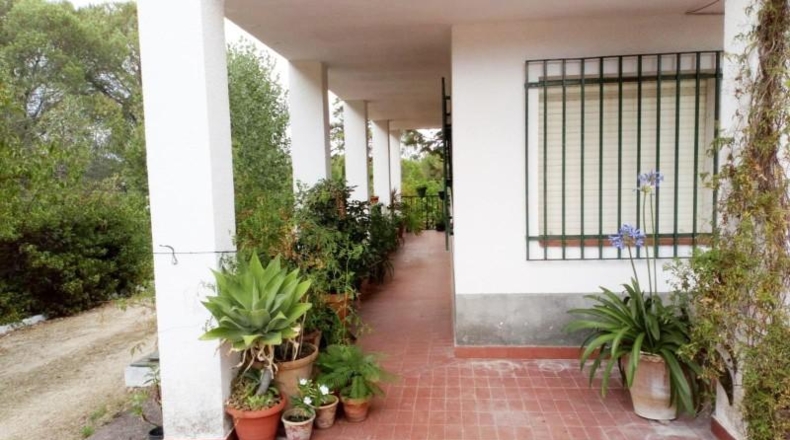 Huelva - Beas - 10000m2