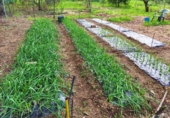 Country house with land for sale on España, Beas, ref: TR356614 photo